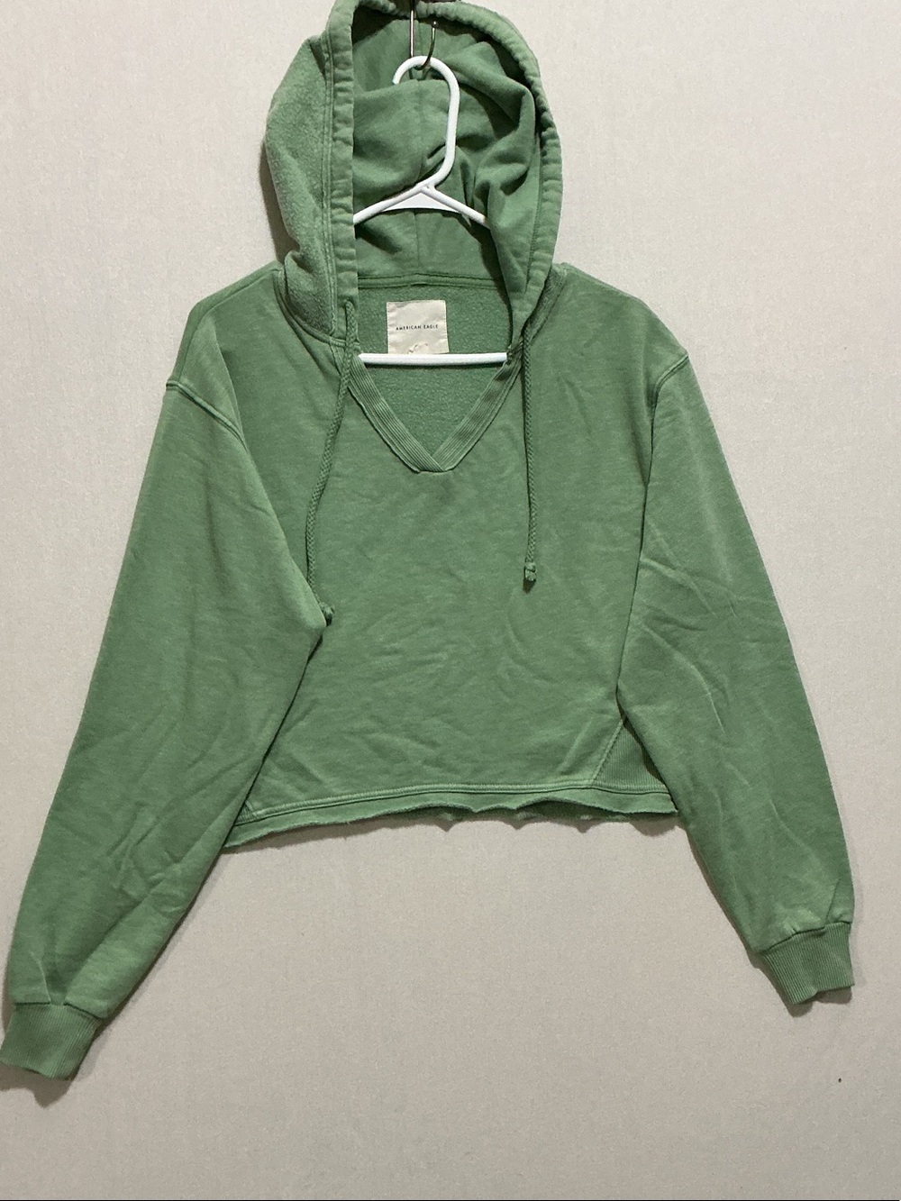 American Eagle Outfitters Sage Green Cropped Hoodie
